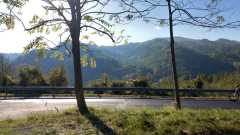 23_MarronRaid_03