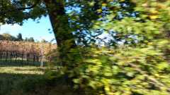 23_MarronRaid_09