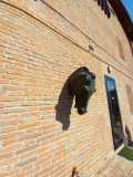 IMG-20250316-WA0071