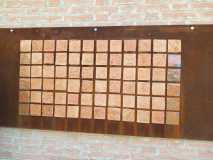 IMG-20250316-WA0073