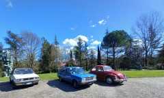 IMG-20250316-WA0086