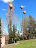 IMG-20250316-WA0088