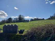 IMG-20250316-WA0091