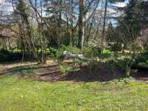 IMG-20250316-WA0099